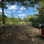 Pigeon Forge Tn tree service 2